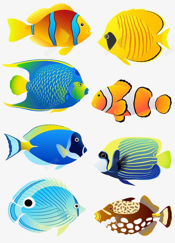 六条卡通鱼png免抠素材_新图网 https://ixintu.com 六条 创意 卡通与 海鱼