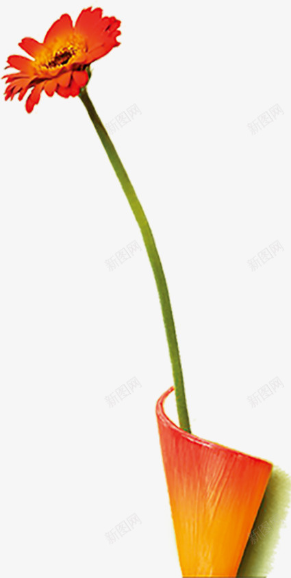 花朵植物插画1png免抠素材_新图网 https://ixintu.com 插画 植物 素材 花朵