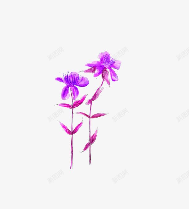 手绘紫色的花png免抠素材_新图网 https://ixintu.com 手绘画 矢量装饰 紫色的花 花朵 装饰
