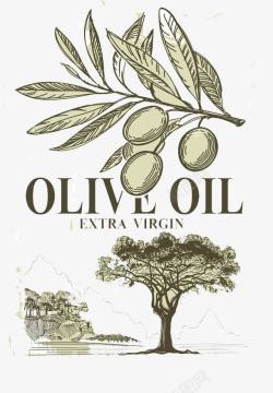 卡通橄榄树手绘橄榄果高清图片