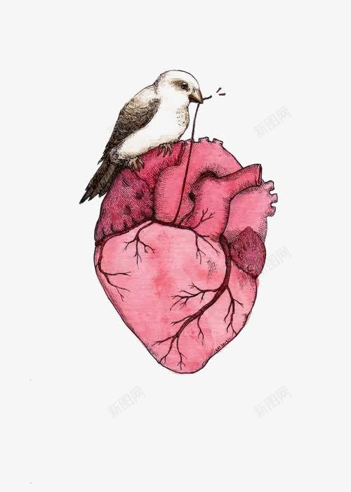 小鸟和心脏png免抠素材_新图网 https://ixintu.com 创意插画 卡通小鸟 心脏 缝补