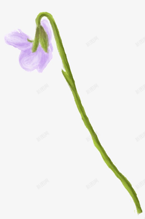 紫色手绘花朵植物png免抠素材_新图网 https://ixintu.com 植物 紫色 花朵