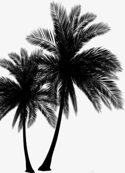 黑色椰子树树木椰子树装饰素材