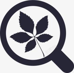 人参叶片类型人参叶片类型图标高清图片