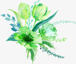 绿色的花素材
