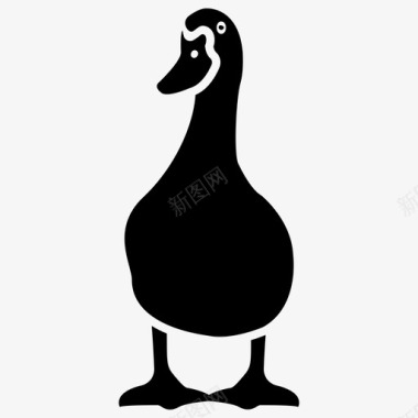鸭鸟宠物雕文图标图标
