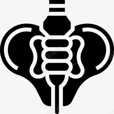 骨盆人体器官4字形图标图标