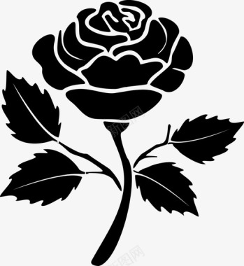 玫瑰美丽盛开图标图标