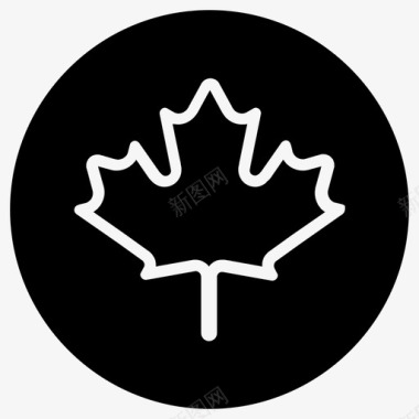 枫叶加拿大国旗图标图标