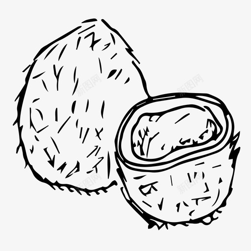 椰子食物坚果图标svg_新图网 https://ixintu.com 坚果 椰子 素描 食物