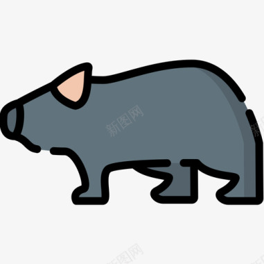 澳大利亚的Wombat8线性颜色图标图标