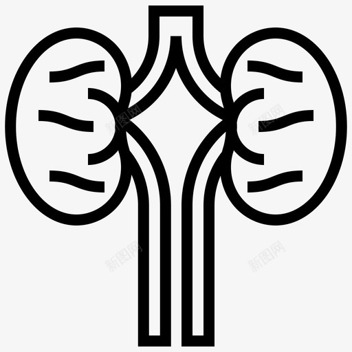 肾脏解剖学器官图标svg_新图网 https://ixintu.com 人体器官 器官 肾单位 肾脏 解剖学