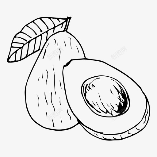 鳄梨食物水果图标svg_新图网 https://ixintu.com 水果 素描 蔬菜 食物 鳄梨