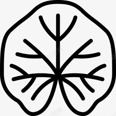 锦葵植物学线状图标图标