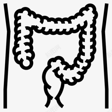 结肠解剖学消化图标图标