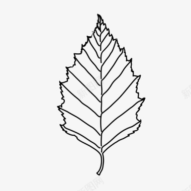 桦叶植物性叶图标图标