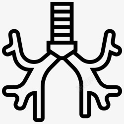 肺组织切片呼吸肺组织图标高清图片