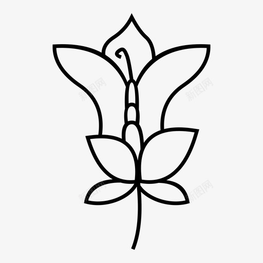 花卉植物学装饰图标svg_新图网 https://ixintu.com 手绘花卉收藏 植物学 花卉 花园 装饰