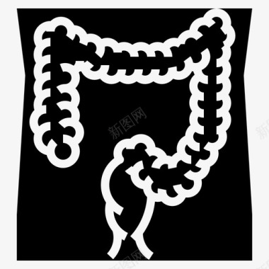 结肠解剖消化图标图标