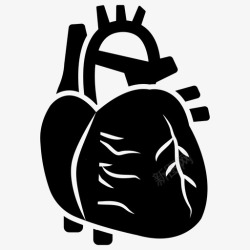 冠状动脉心脏生物学心脏病学图标高清图片