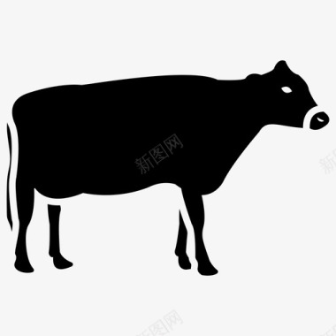 农场奶牛动物公牛图标图标