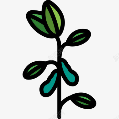 大豆植物学5线性颜色图标图标