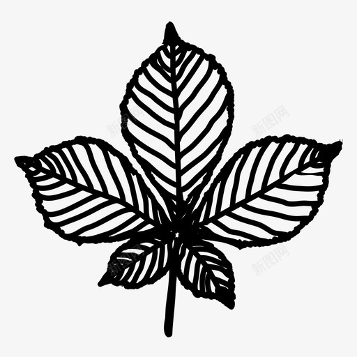 天然树叶板栗叶手工绘制图标svg_新图网 https://ixintu.com 天然树叶 手工绘制 板栗叶