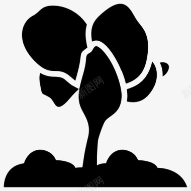 莴苣植物生长种子药草图标图标