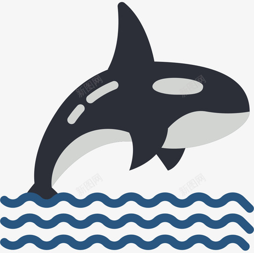 虎鲸海洋生物27扁平图标svg_新图网 https://ixintu.com 扁平 海洋生物27 虎鲸