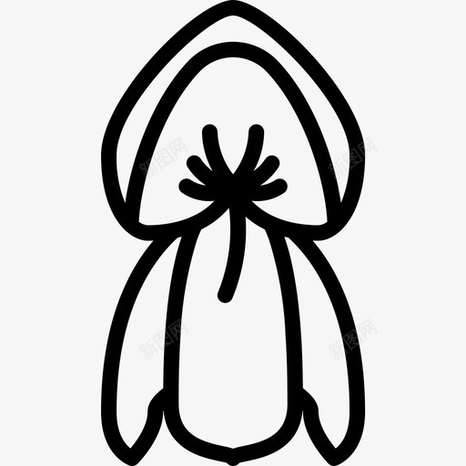 豌豆植物学直系图标svg_新图网 https://ixintu.com 植物学 直系 豌豆