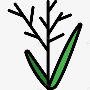 草植物学5线状颜色图标图标