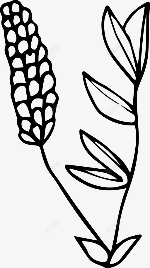 手绘植物复古植物图标svg_新图网 https://ixintu.com 复古 手绘 植物
