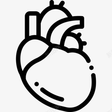 心脏生物学3线性图标图标