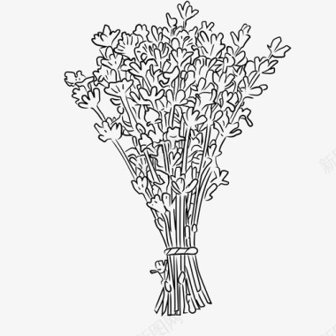 薰衣草植物花卉图标图标