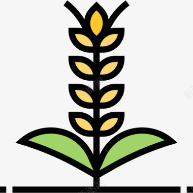 大麦农耕46线性颜色图标图标