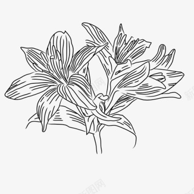 百合植物花卉图标图标