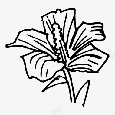 沙龙玫瑰亚洲花卉图标图标