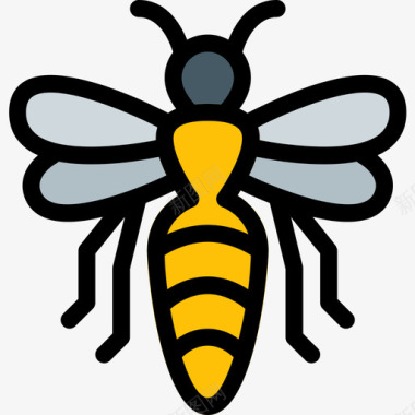蜜蜂动物43线形颜色图标图标
