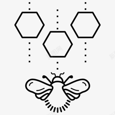 蜂蜜标签养蜂蜂巢图标图标