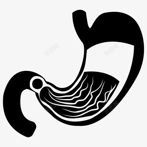 胃人体部分消化系统图标svg_新图网 https://ixintu.com 人体器官 人体胃 人体部分 消化系统 生理学 胃 骨科假体医学植入人工身体部分