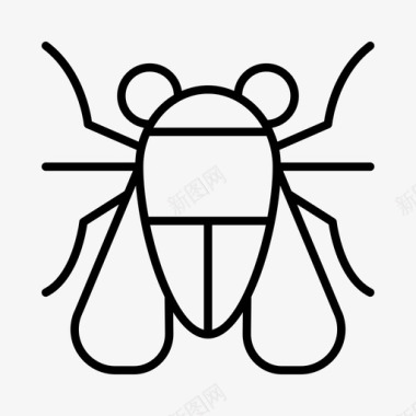 苍蝇昆虫昆虫学图标图标