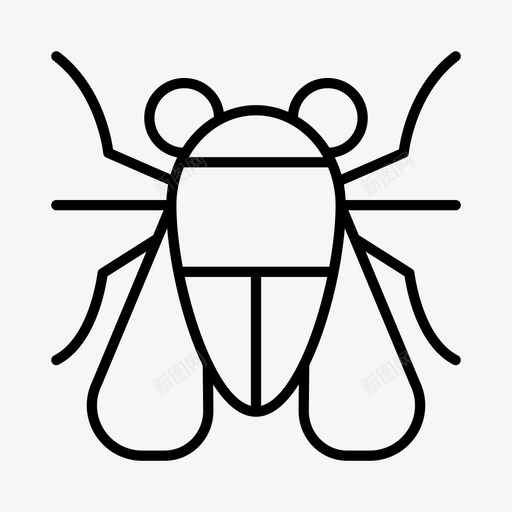 苍蝇昆虫昆虫学图标svg_新图网 https://ixintu.com 动物学 昆虫 昆虫学 苍蝇
