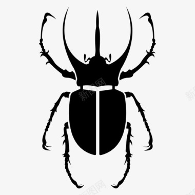 阿特拉斯甲虫虫子昆虫图标图标