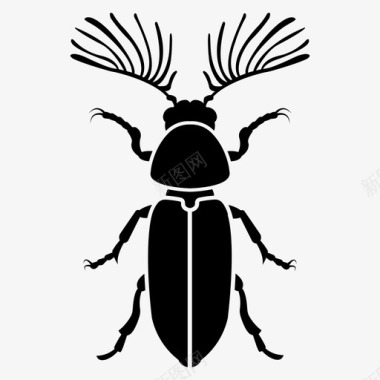 死亡观察甲虫虫子昆虫图标图标