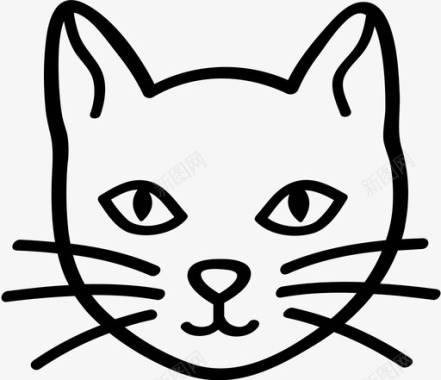 猫动物吉祥物图标图标