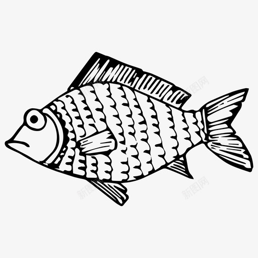 鱼动物海洋图标svg_新图网 https://ixintu.com 动物 水下世界 海洋 素描 鱼