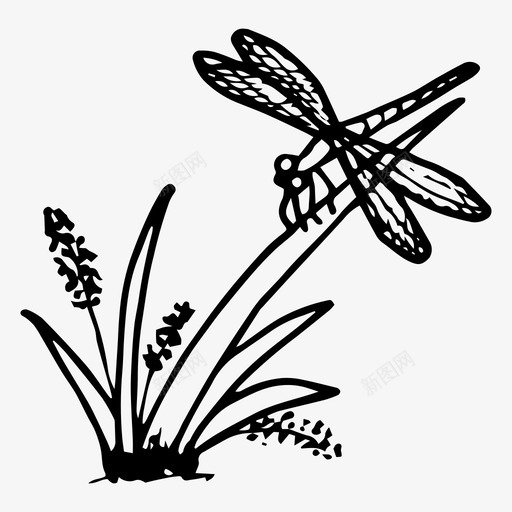 蜻蜓手绘昆虫图标svg_新图网 https://ixintu.com 手绘 昆虫 春天 植物 蜻蜓
