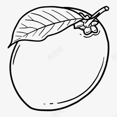 萨波迪拉水果萨波塔图标图标