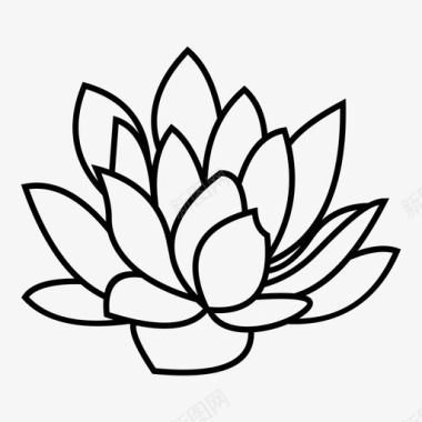 仙人掌花室内植物图标图标