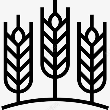 小麦秋62直交图标图标